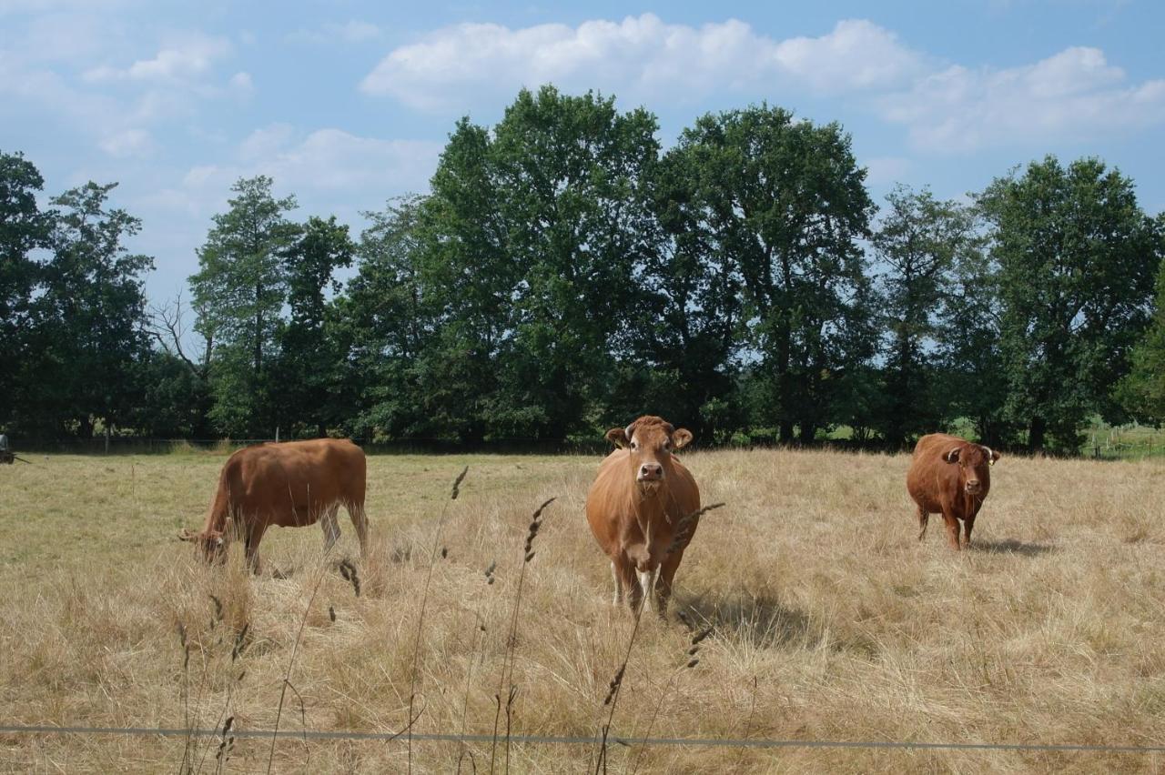 De Moane Bed & Breakfast Akelsbarg Bagian luar foto